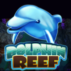 dolphin reef